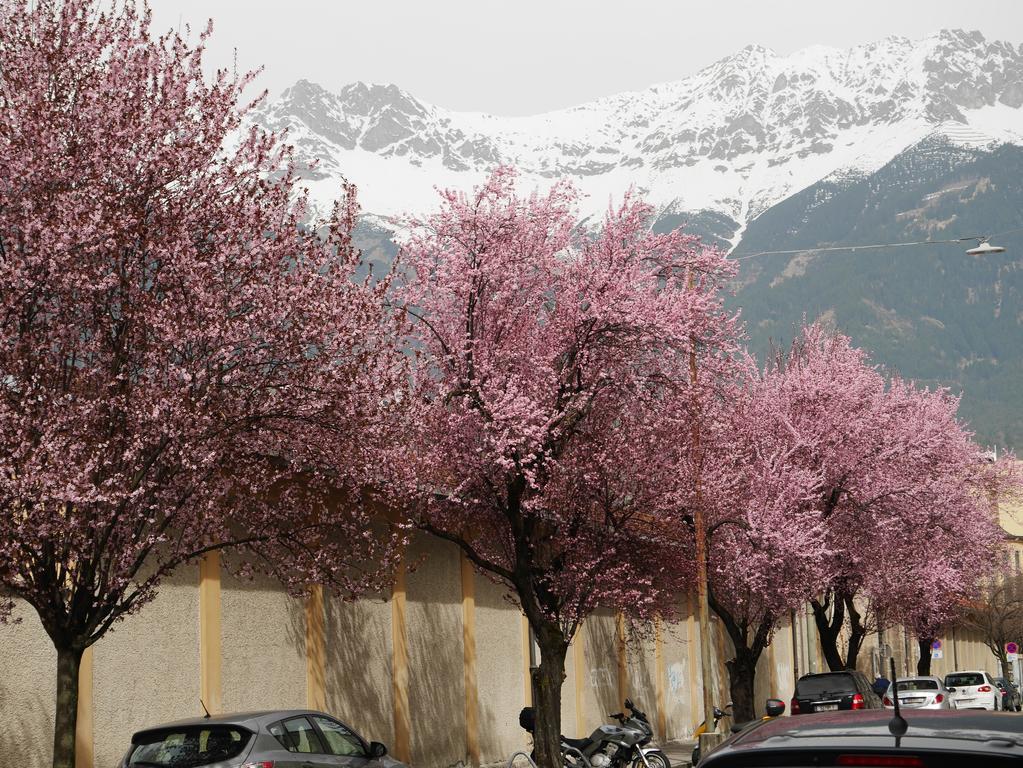Riedz Apartments Innsbruck- Zentrales Apartmenthaus Mit Gruener Oase Kültér fotó